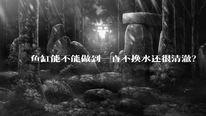 鱼缸能不能做到一直不换水还很清澈？